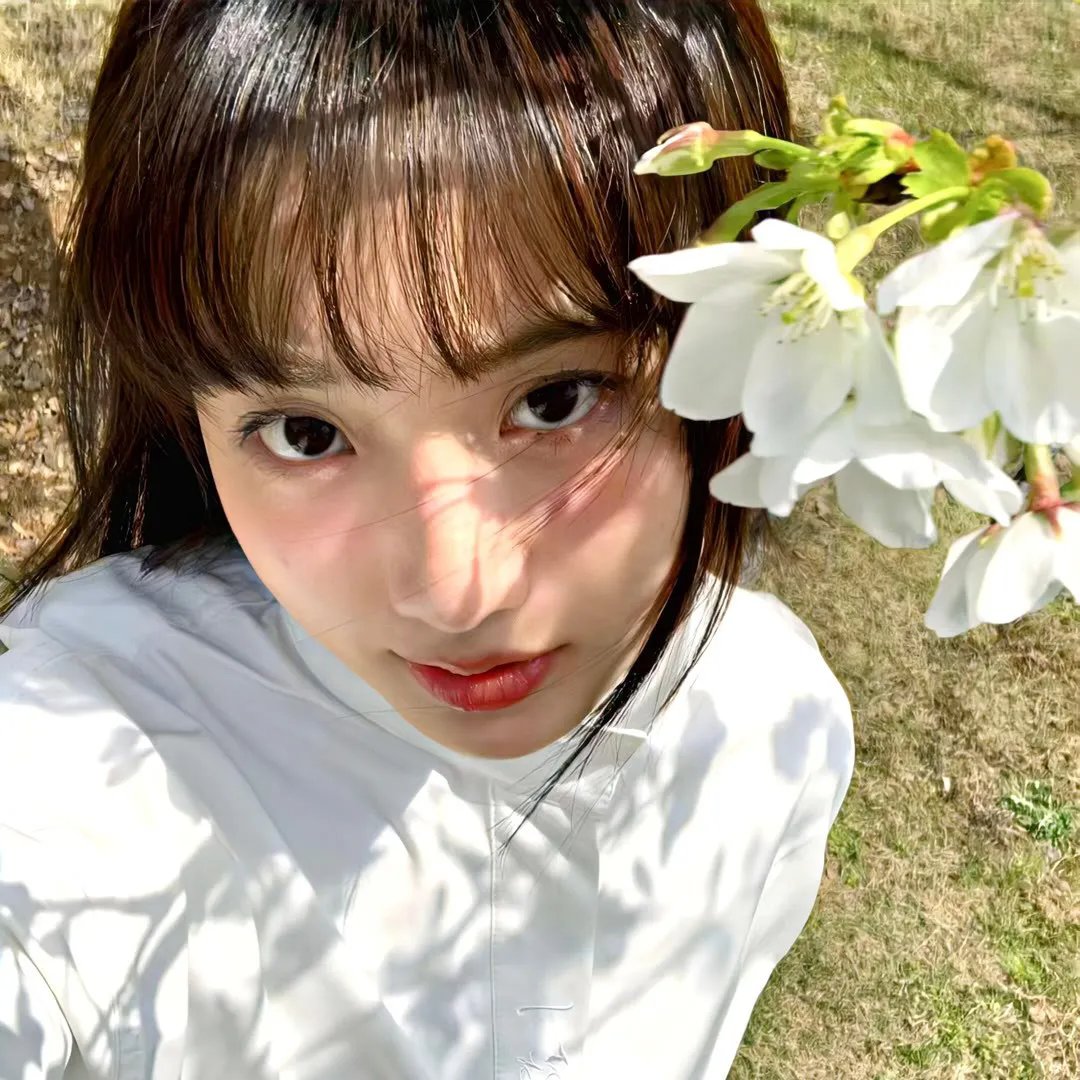 我的师兄太强了