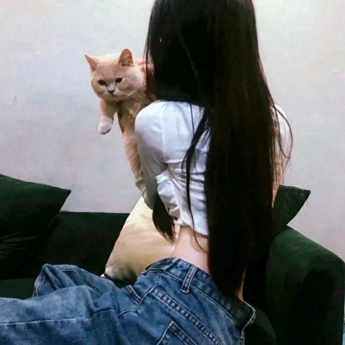 猫眼三姐妹